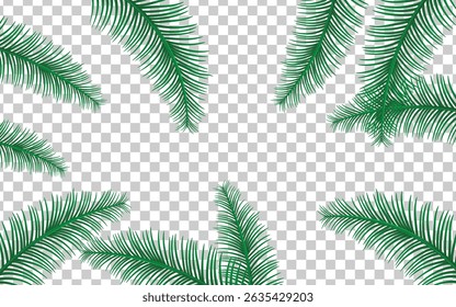 Vibrant green palm fronds framing a transparent center, perfect for tropical invitations, travel branding, or resort graphics. Realistic vector foliage border.