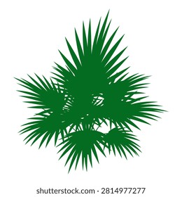 A vibrant green palm tree silhouette representing tropical nature, environment, and outdoor scenery, ideal for nature and ecological themes.