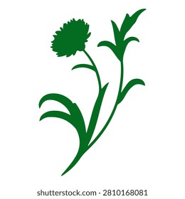 A vibrant green plant featuring multiple leaves and budding flowers, showcasing natural growth and botanical beauty.