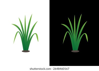Planta Verde Vibrante em Planos de Fundo Contrastantes
