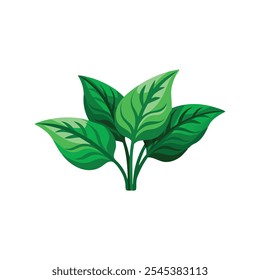 Plantas verdes vibrantes mostrando padrões intrincados de veias na natureza Design ilustração vetorial plana isolada sobre fundo branco.