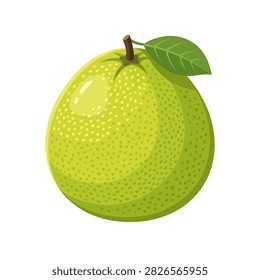 A vibrant green pomelo fruit featuring a textured peel and a single attached leaf illustrated in a realistic vector style isolated on a plain white background