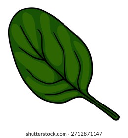 A vibrant green spinach leaf vector illustration with bold black outlines and smooth, shaded contours, perfect for healthy eating and culinary themes.