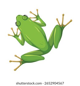 Vibrant Green Tree Frog Illustration
