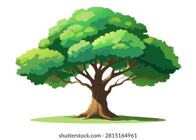 Vibrant green tree with lush foliage and sturdy trunk isolated on white background.