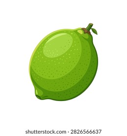 A vibrant green whole lime fruit depicted in a clean illustrative style isolated on a white background