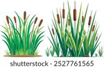 A vibrant group of green grass with cattails