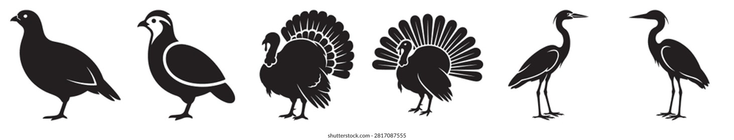 Vibrant group of wild turkey birds with brown and black feathers in an outdoor environment featuring lush greenery and trees for wildlife and nature themes
