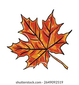 Vibrant hand-drawn illustration of a fall maple leaf with rich orange and red tones. Perfect for seasonal designs, autumn decor, packaging, greeting cards, and nature-themed artwork.