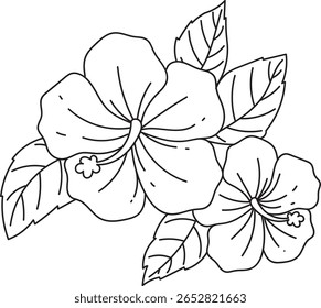 Uma vibrante ilustração de arte desenhada à mão com duas detalhadas flores de hibisco com estames proeminentes e folhas elegantes.