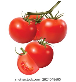 A vibrant and highly detailed vector illustration of fresh red tomatoes isolated on a clean white background. The graphic composition features a cluster of plump, glossy tomatoes ripening beautifully on a green vine stem, complete with realistic morning dew droplets. Positioned below them is another whole tomato alongside a perfectly cut, juicy wedge slice showcasing detailed inner seeds and pulp. This high-quality culinary illustration is an exceptional asset for designing healthy recipe blogs, Italian restaurant menus, organic grocery packaging labels, and farmers market promotional banners.#FreshTomatoes #TomatoVector #VineTomatoes #HealthyFoodIllustration #JuicyTomatoSlice #OrganicVegetableGraphic #VegetableClipart #CulinaryArt #GraphicDesignAsset #FreshIngredients