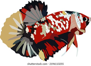 A vibrant illustration of a Betta fish (Siamese fighting fish) with a stunning combination of red, black, yellow, and white koi-style markings.