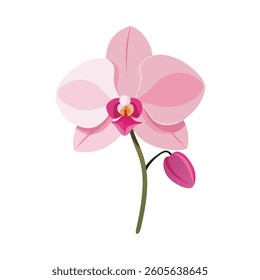 A vibrant illustration of a blossoming orchid branch featuring multiple, beautiful pink flowers and delicate buds.