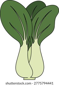A vibrant illustration of bok choy, featuring lush green leaves and pale stems, perfect for culinary or health-related designs.