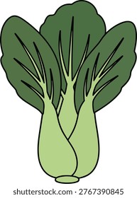 A vibrant illustration of Bok Choy, showcasing its green leaves and light green stems, a popular vegetable in Asian cuisine.