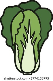 A vibrant illustration of bok choy, showcasing its green leaves and white stalk, perfect for culinary or health-related designs.