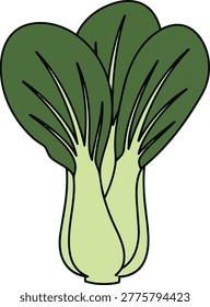 A vibrant illustration of bok choy, showcasing its fresh green leaves and light green stalks, perfect for culinary or health-related designs.