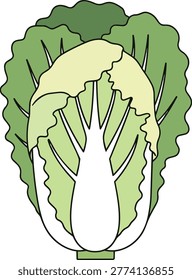 A vibrant illustration of a Chinese cabbage, showcasing its fresh green leaves and healthy appearance, perfect for food-related designs.