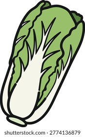 A vibrant illustration of a Chinese cabbage, showcasing its fresh green leaves and crisp white base, perfect for culinary or health-related designs.