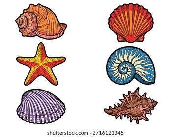 Uma ilustração vibrante com uma variedade de conchas e uma estrela-do-mar, perfeita para projetos com temas de praia.
