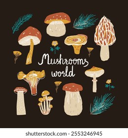 A vibrant illustration featuring various mushrooms and pine branches, with the handwritten phrase “Mushrooms World.”  Whimsical charm and rustic aesthetics design.