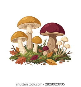 A vibrant illustration featuring various species of mushrooms, including brown and purple caps, nestled among moss, fallen autumn leaves, and twigs.