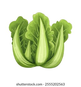 A vibrant illustration of fresh green lettuce, showcasing its leafy texture and shape.