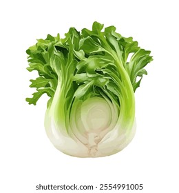 A vibrant illustration of a fresh head of lettuce with crisp green leaves.