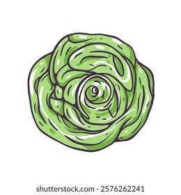 A vibrant illustration of a green cabbage, ideal for various food designs and visual content