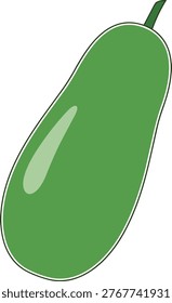 A vibrant illustration of a green winter melon, showcasing its smooth skin and elongated shape, perfect for culinary or agricultural themes.
