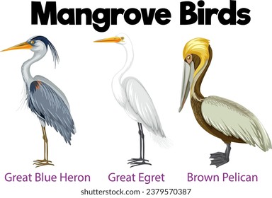 A vibrant illustration of mangrove birds in a cartoon-like vector art