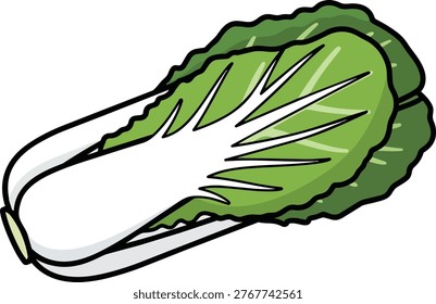A vibrant illustration of a napa cabbage, showcasing its fresh green leaves and crisp white stalk, perfect for culinary or health-related designs.