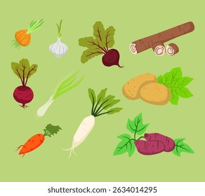 A vibrant illustration set of freshly harvested root vegetables, including carrots, radishes, beets, and turnips, ideal for farm, gardening, and organic food themes.