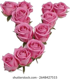 A vibrant illustration showcases the letter "Y" meticulously crafted from a collection of pink roses, each rose detailed with lifelike precision, creating a visually stunning floral alphabet.