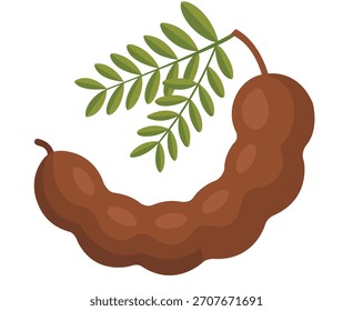 A vibrant illustration showcases the unique shape and color of a tamarind fruit.
