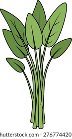 A vibrant illustration showcasing a bunch of fresh, green sorrel leaves, perfect for culinary or botanical themes.