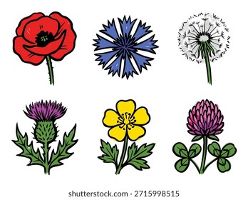Una ilustración vibrante que muestra seis flores silvestres distintas, cada una representada con una estética dibujada a mano y contornos audaces.