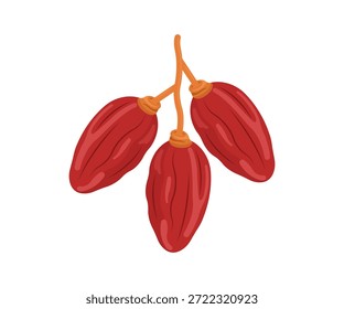 Vibrant illustration of three red dates on a stem. This fresh, sweet fruit is perfect for healthy eating, harvest, and natural food designs. Vector graphic.