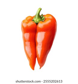 A vibrant illustration of two red bell peppers stacked together.