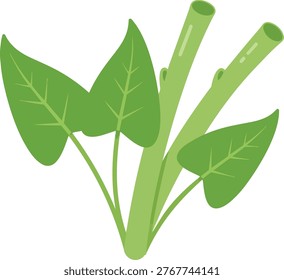 A vibrant illustration of water spinach, showcasing its green leaves and hollow stems, highlighting its nutritional value and culinary versatility.