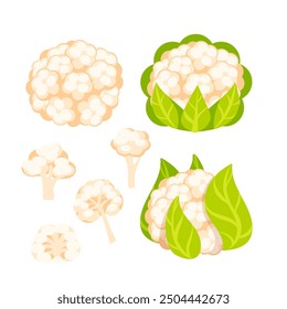 Vibrant illustrations of cauliflower harvest stages, from farm to plate, inspire healthy meals. Perfect for cooking and salads. Organic and fresh