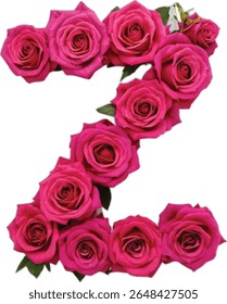 A vibrant image showcases the letter "Z" meticulously crafted from numerous deep pink roses, forming a visually appealing and unique typographical representation.