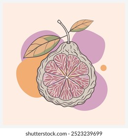 Vibrante Ilustración vectorial de lima Kaffir, exquisita ilustración de cítricos que muestra frutas y hojas de lima detalladas