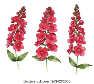 Vibrant loosestrife in bloom! Capture the beauty of these colorful floral spikes. Perfect for nature, garden, and botanical themes. Get your high  quality image now!