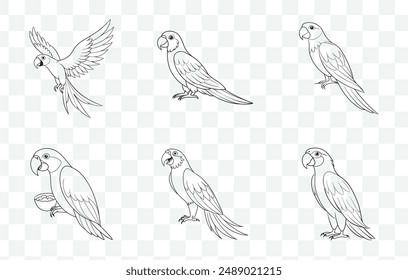 Conjunto de Vector de arte de línea de guacamayo vibrante con Ilustraciones detalladas para proyectos creativos
