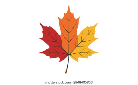 Vibrant maple leaf and