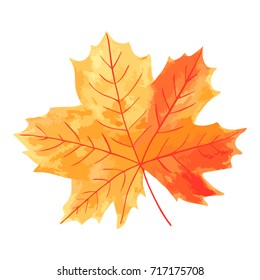 Vibrant maple leaf with veins and stem, yellow, red, orange colors, golden autumn falling leaf, seasonal symbol, backdrop for lettering, logo, card, element for autumnal design, vector illustration.