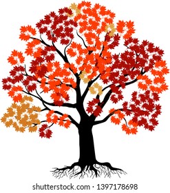 vibrant maple tree logo illustration with red and orange leaves color