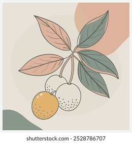 Vibrant Maqui Fruit Vetor Illustration - Detalhado e de alta qualidade