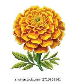 Lebendiger Ringelblume Blumenvektor mit geschichteten Blütenblättern. Botanische Ringelblume Illustration für Blumendesign Projekte

